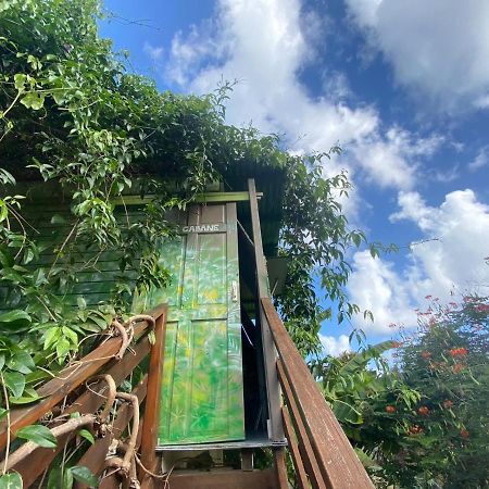 Gites Titanse, La Cabane Dans L Arbre Cadet  Экстерьер фото